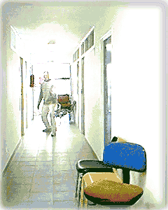 image 240 x 300 (GIF)
